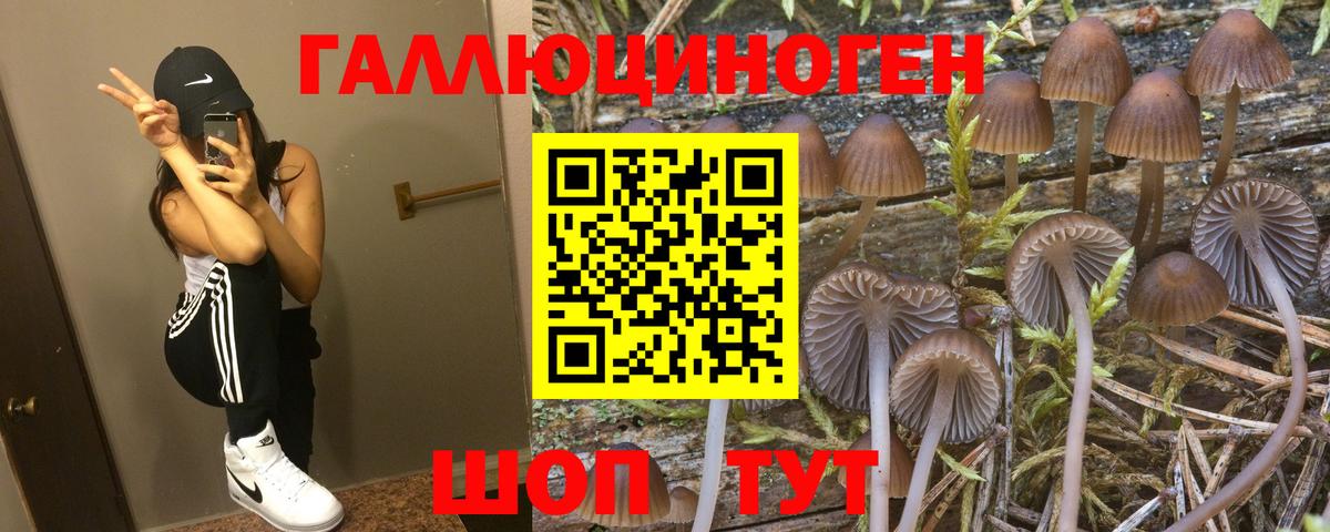Галлюциногенные грибы ЛСД  Вход с VPN  Петрозаводск 